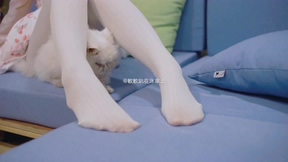 [3V+52P/243MB][铃木美咲](MisakiSuzuki)-猫咖